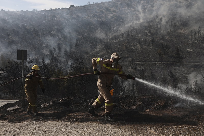 Greece's wildfires in Bulletin News & World News