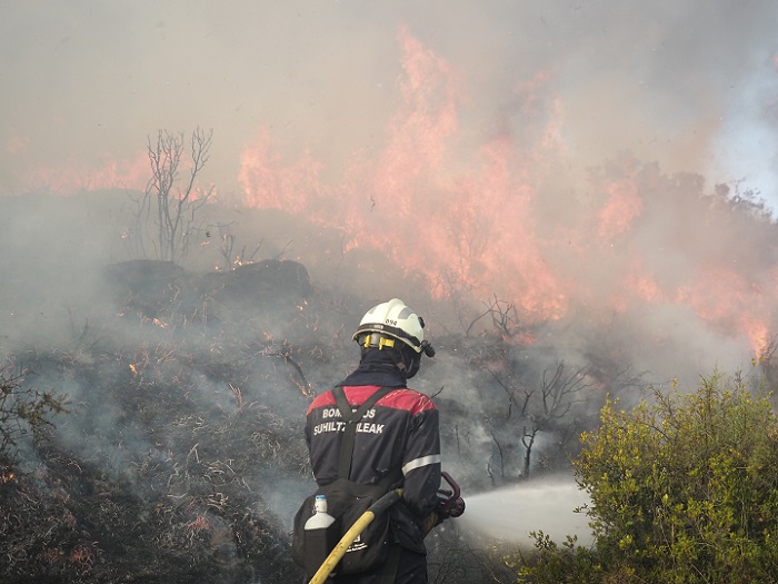 Spain's wildfires in Online News & Headline News