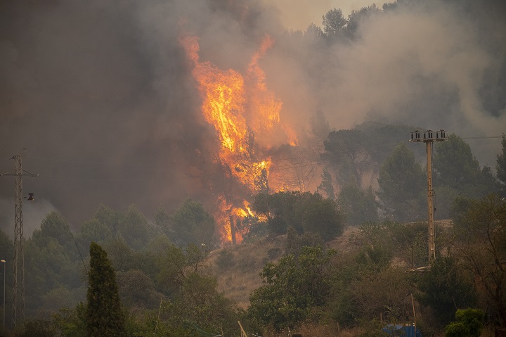 Europe's wildfires in online news & headline news