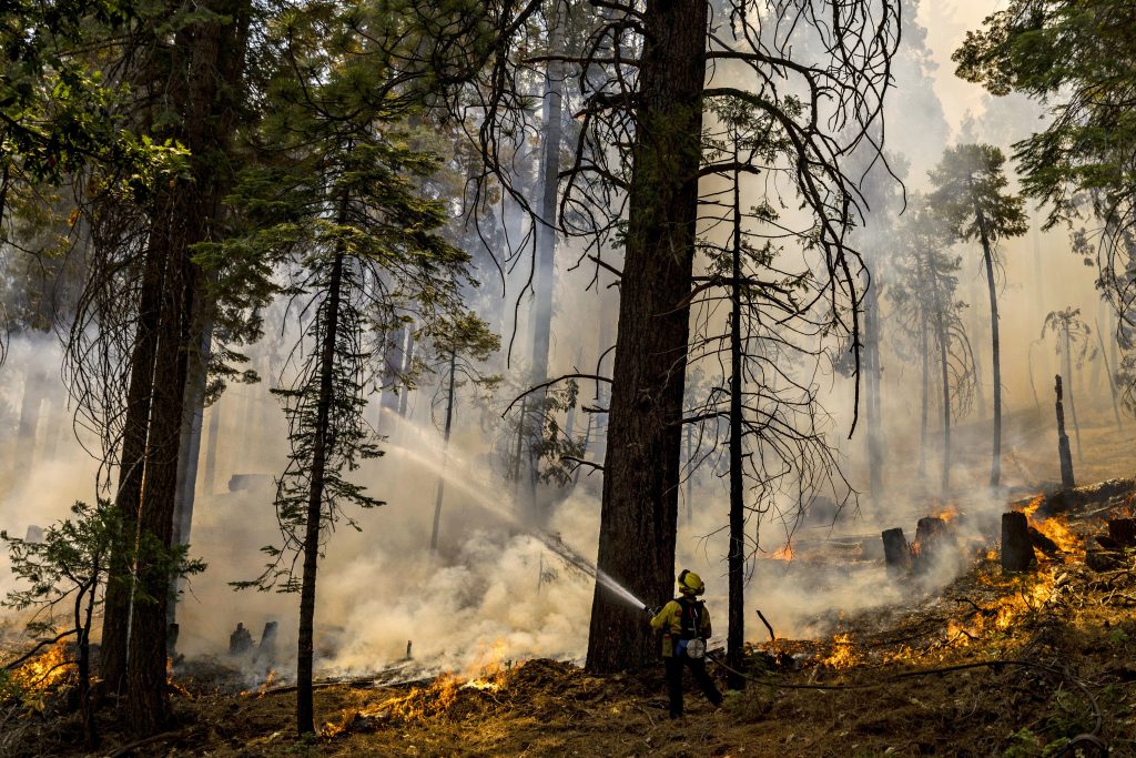 Yosemite's wildfire in online news & bulletin news