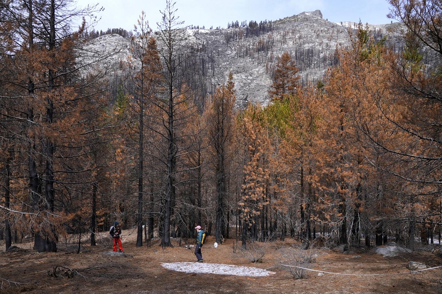 Twin Bridges California in Online News & Science