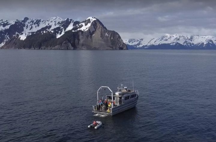 Gulf of Alaska in Online News & Science News