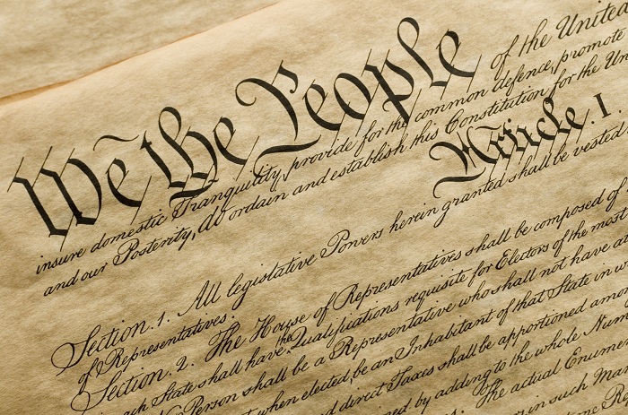 Constitution in Online News & Commentary