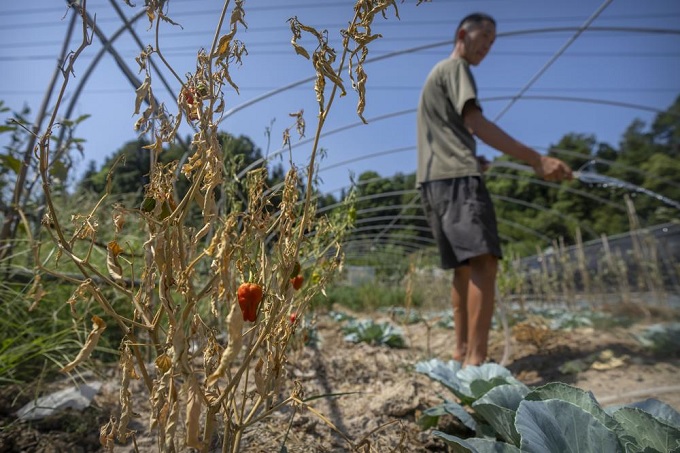 China & the drought in news online & world news