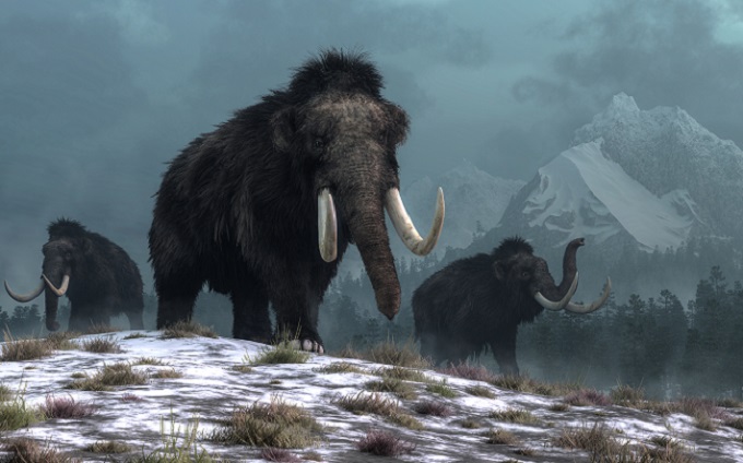 The ice age in science news & online news