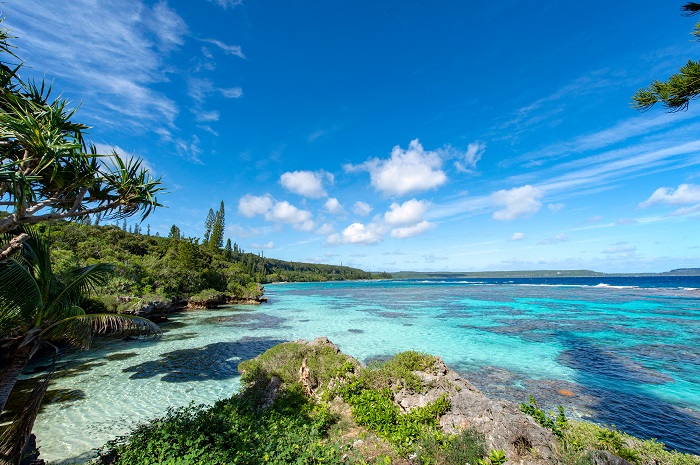 Coral reef in New Caledonia in science news & online news