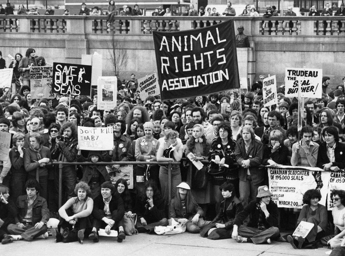 Animal rights movement in world news & online news
