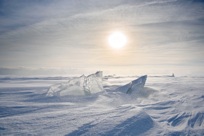 Antarctica's sun in online news & science