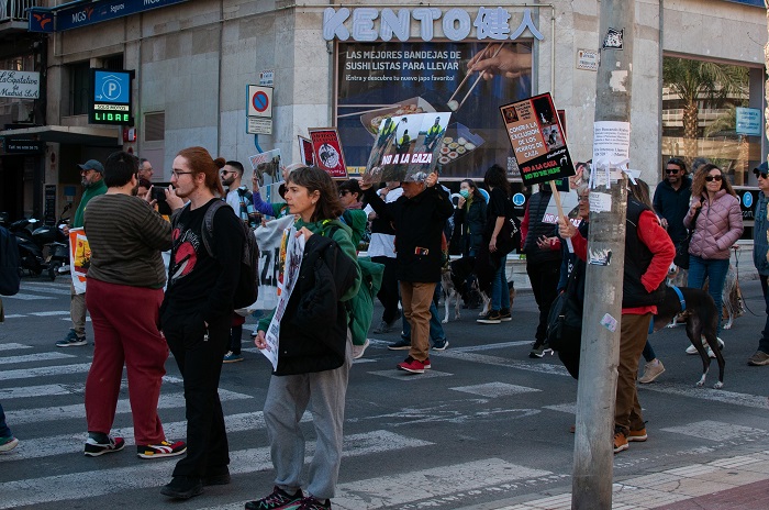 A rally in Spain for animal rights world news & online news
