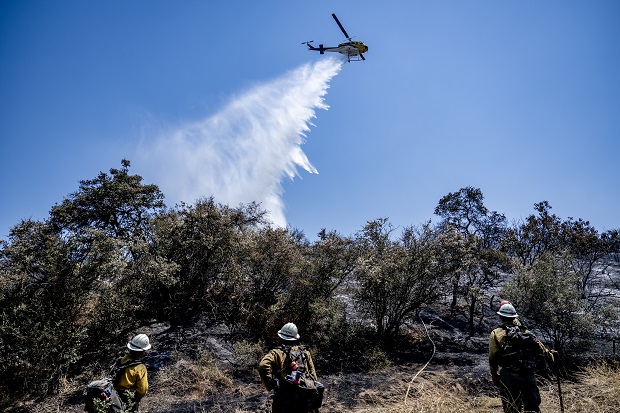 California wildfires in bulletin news & news dispatch