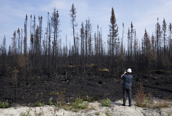 An aftermath of Canada's wildfires in headline news & bulletin news