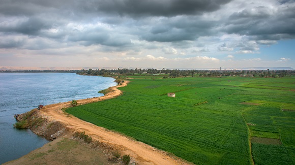 The Nile in Egypt and agriculture in world news & bulletin news