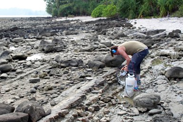 The search for & discovery of Argoland in science news & online news