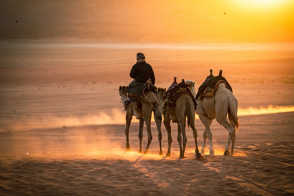 Bedouins in Jordan in world news & online news