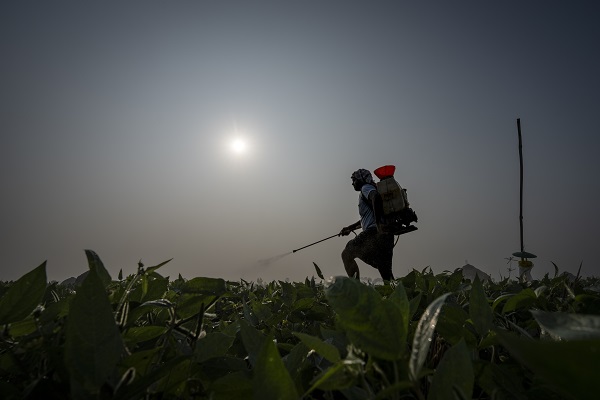 Farming in India in world news & online news