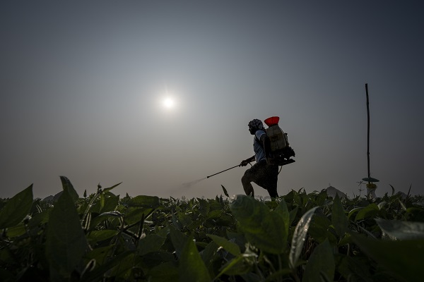 Farming in India in world news & online news