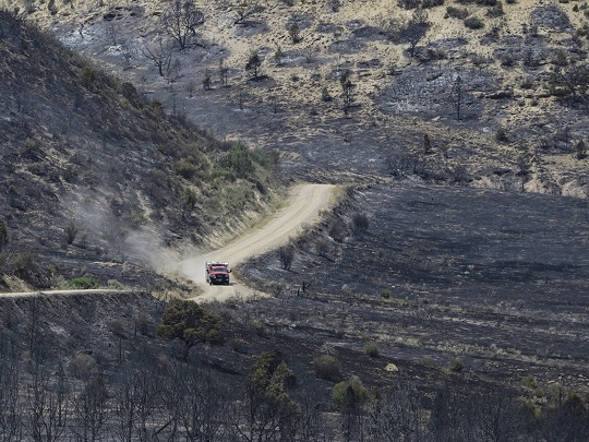 Colorado wildfires 4th largest
