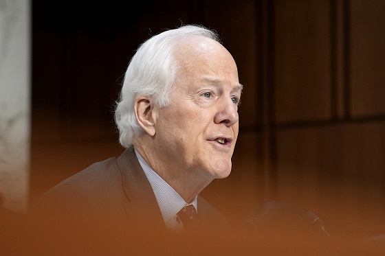 John Cornyn primary contest