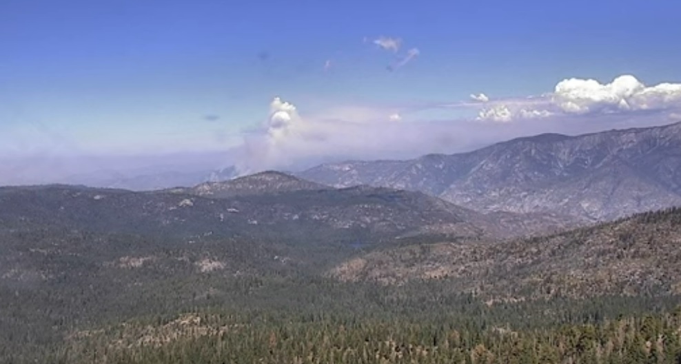 Garnet fire giant Sequoias