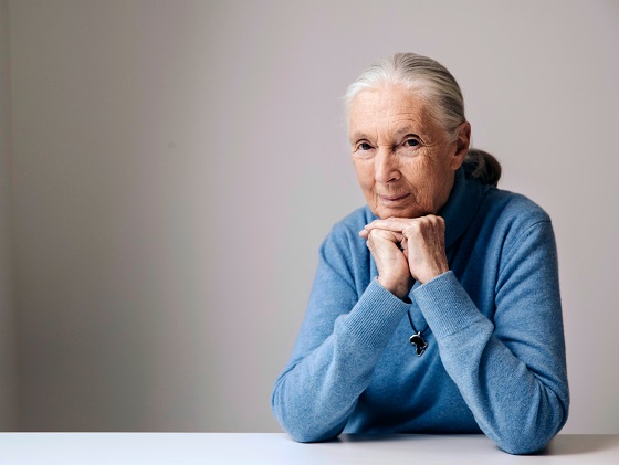 Jane Goodall her influence science online news headline news