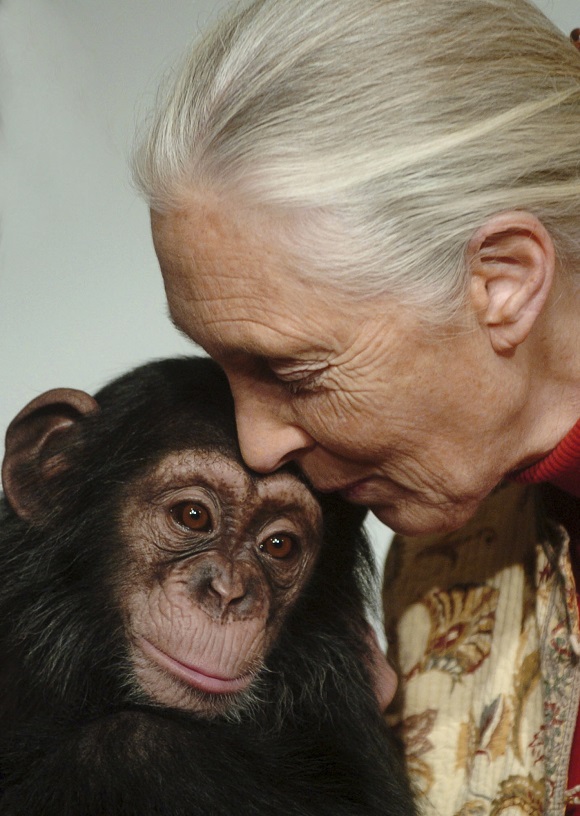 Jane Goodall her influence science online news headlines headline news