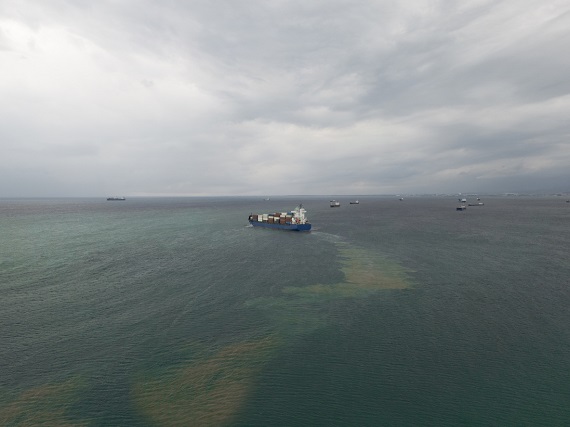 industrial chemicals oceans headline news online news headlines