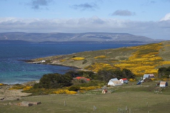 Argentina renewed Falklands talks world news headline news online news