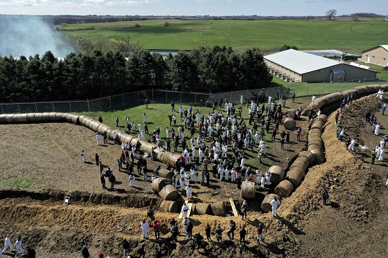 animal welfare  protesters converged   online news  news online  headline news  headlines   North American news