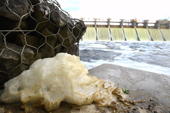 foam on Michigan's waters online news news online headlines headline news North American news Michigan waters
